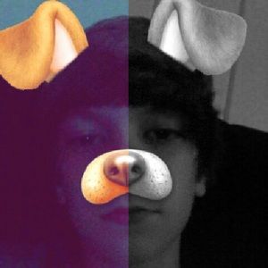 Meet your Posher, Henry